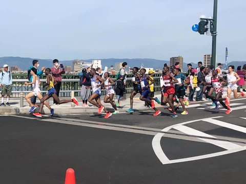 59129491_1987085451401499_6080406233402048512_n