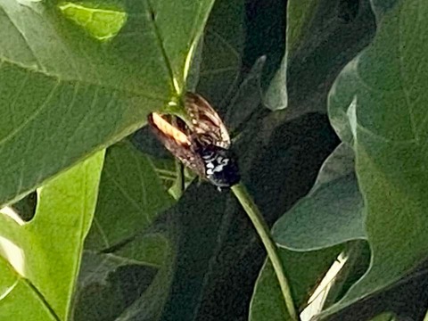 299004449_5088736601236353_8002907244624327444_n