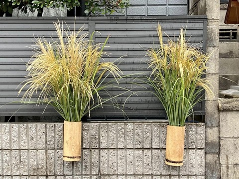 306926912_5270931209683557_6389609419134501325_n