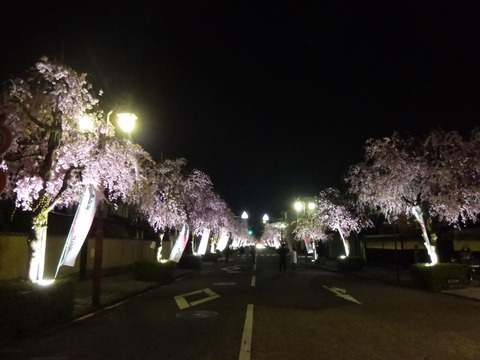 17903727_1164075010369218_2366324362459479918_n