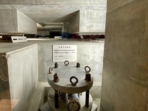 313342046_5309785942464750_5896052242524790036_n