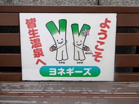 11264870_715789681864422_8018939591958445408_n