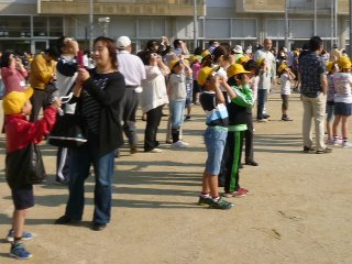 555171_232604753516253_100003001910575_386941_1777632502_n