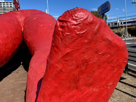 323357499_5966422146798788_3652958033036252742_n