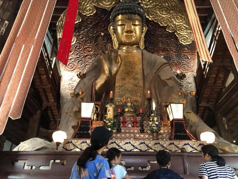 37682861_1600582870051761_7187844085883863040_n