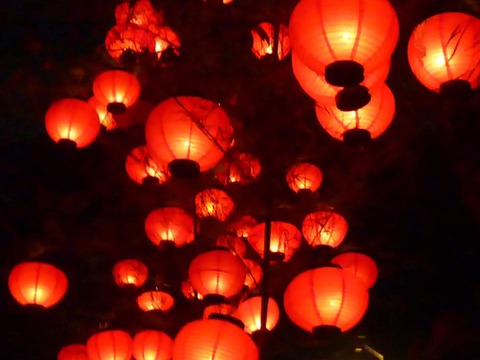 13934759_944999092276812_1849360401318339069_n