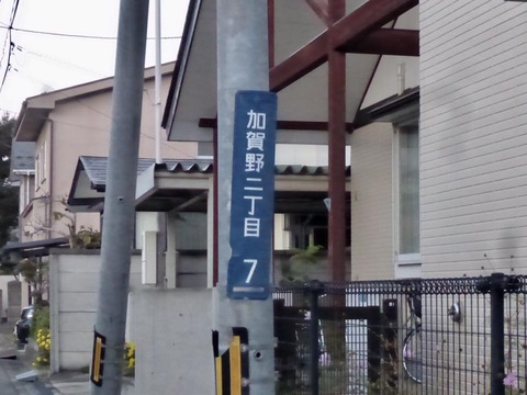 14522902_1003957099714344_2476122894326983279_n