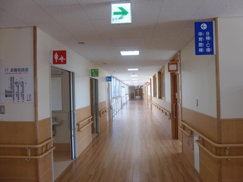 12998727_870151706428218_6393673641911698037_n