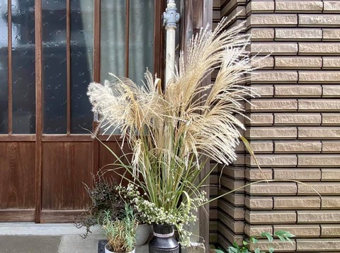 247000818_4198254470284575_5503475066177099797_n