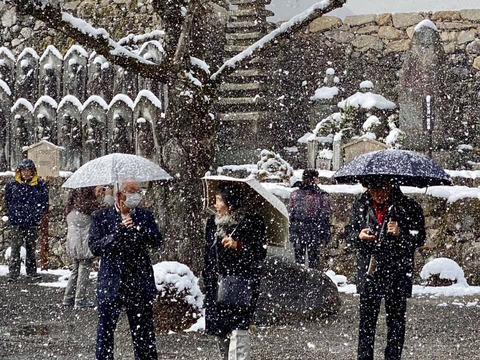 85242848_2513892795387426_5562969301092139008_n