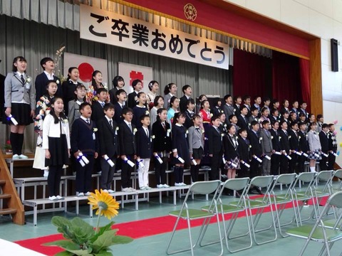 29497984_1467920773317972_487708535186761167_n