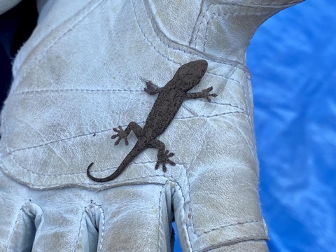 329589126_976687409970906_1657532203522366546_n