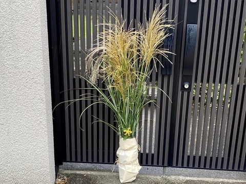 306087380_5270931463016865_237897933467666235_n