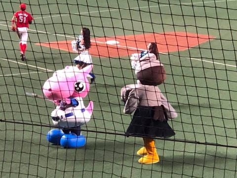 69071215_2184603714983004_2575673857138491392_n