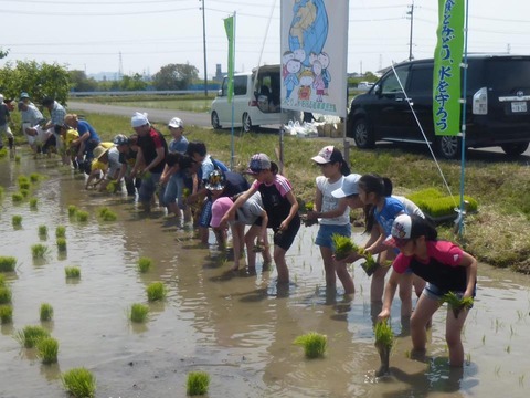 18952896_1215125658597486_5397080535663836498_n