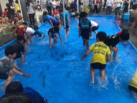 65837429_2089022614541115_7627182342200623104_n