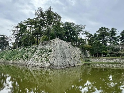 468536362_8491329750977004_8084192336558152350_n