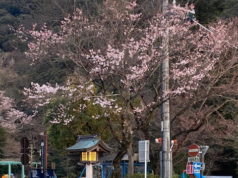 90153348_2602169273226444_8661559777320501248_n