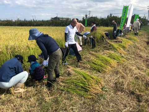 44044650_1710265379083509_3881648505613189120_n