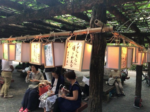 40168609_1656301041146610_7761475442581700608_n