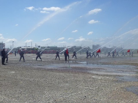 483099_395905913852802_1447475863_n