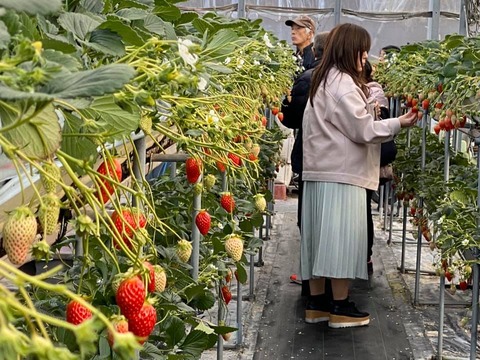 86277327_2513892915387414_4956681323767922688_n