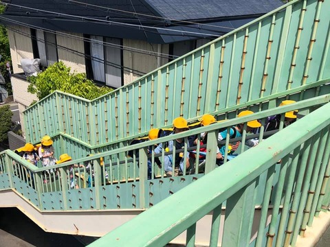 58586759_1984208118355899_5109856693815083008_n