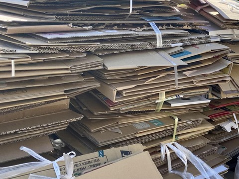 383010457_6365218290254838_6140804668898557656_n