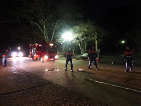 17426233_1140638859379500_7881268170332733788_n