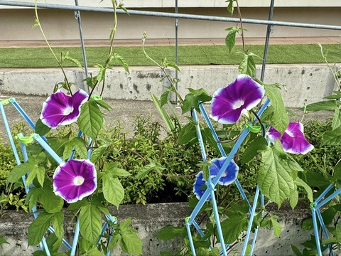 451647075_7598800716896583_822443435708614975_n