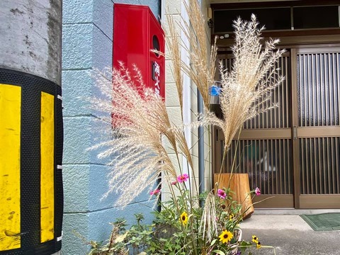 243079914_4198255550284467_7235367979938623446_n