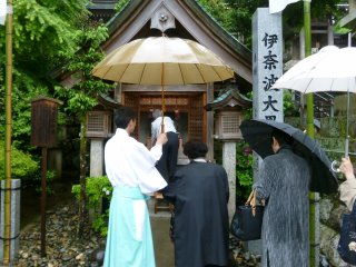 550696_229359687174093_100003001910575_379347_1263667859_n