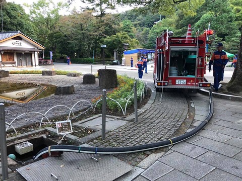 44650361_1720999414676772_3597002442878746624_n