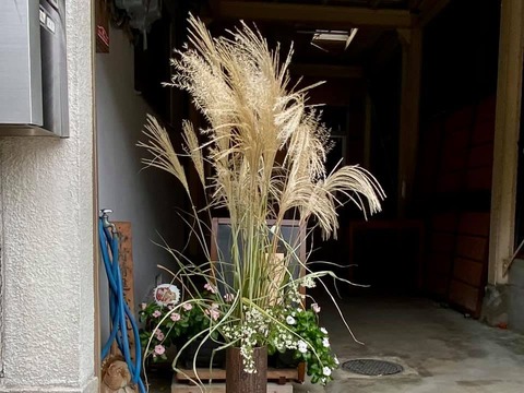 243067964_4198254630284559_2034506652244311766_n