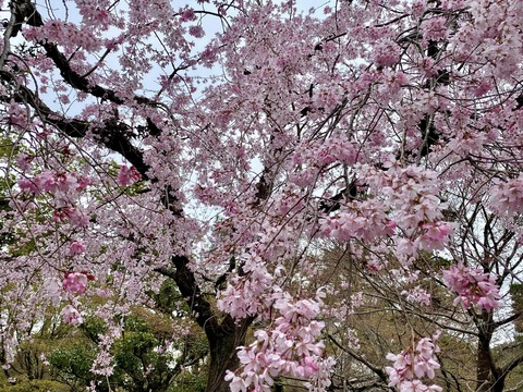 338286688_782533920165010_8437216437419380135_n