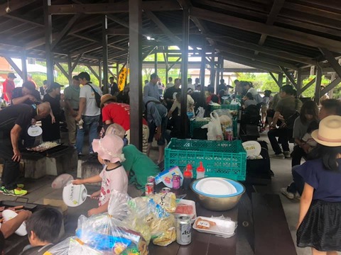 62603932_2052411004868943_5357268121692405760_n