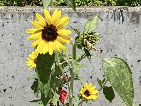 361663653_6131747196935283_4257033442974695176_n