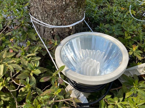 90516647_2631742146935823_5552930343318716416_n