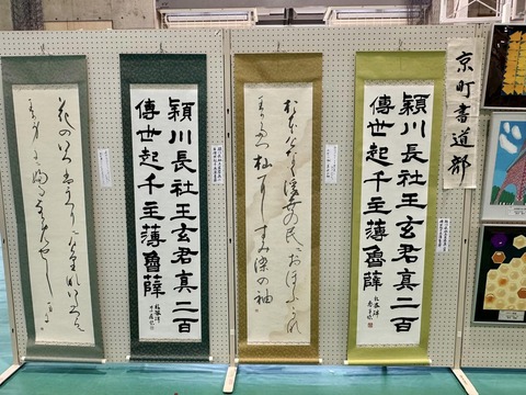 467434338_8432471206862859_5767382390390130296_n