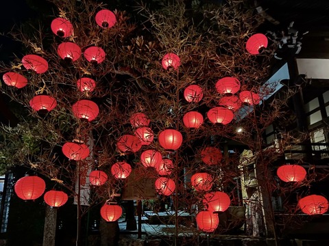 367946784_6220007281442607_7132595379677433832_n