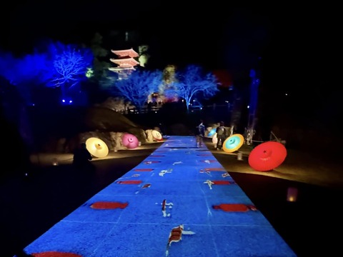 475320377_8836917776418198_5286510151789894697_n