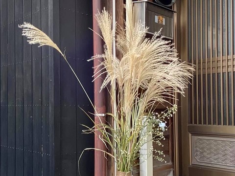 247864312_4198254890284533_9194545871054763049_n