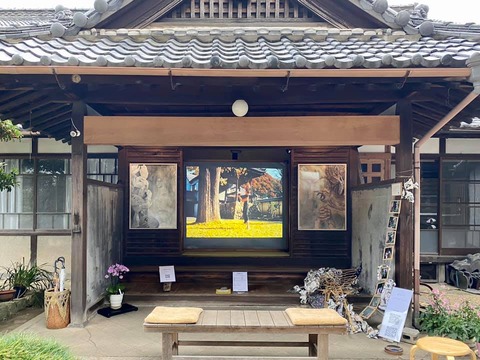 121806116_3176960455747320_4129403881189721043_n