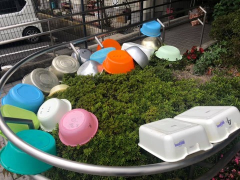 58380000_1982592131850831_8010917307658272768_n