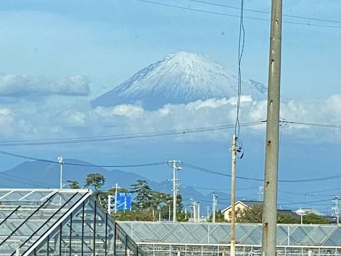 315315694_5380348395408504_22381644716918394_n