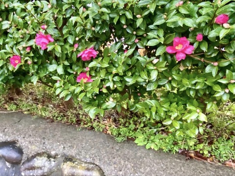 411307866_6663232080453456_7534190963376022025_n