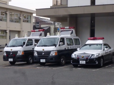 17352121_1135540616555991_4428812258145433060_n