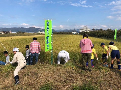 43880047_1710265385750175_3296475790106951680_n