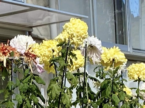 411331654_6663231943786803_315838478643959178_n