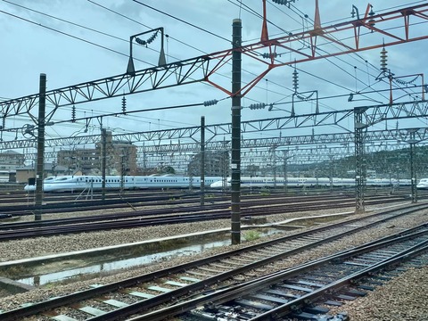 299184272_5111204352322911_5545076148425364942_n